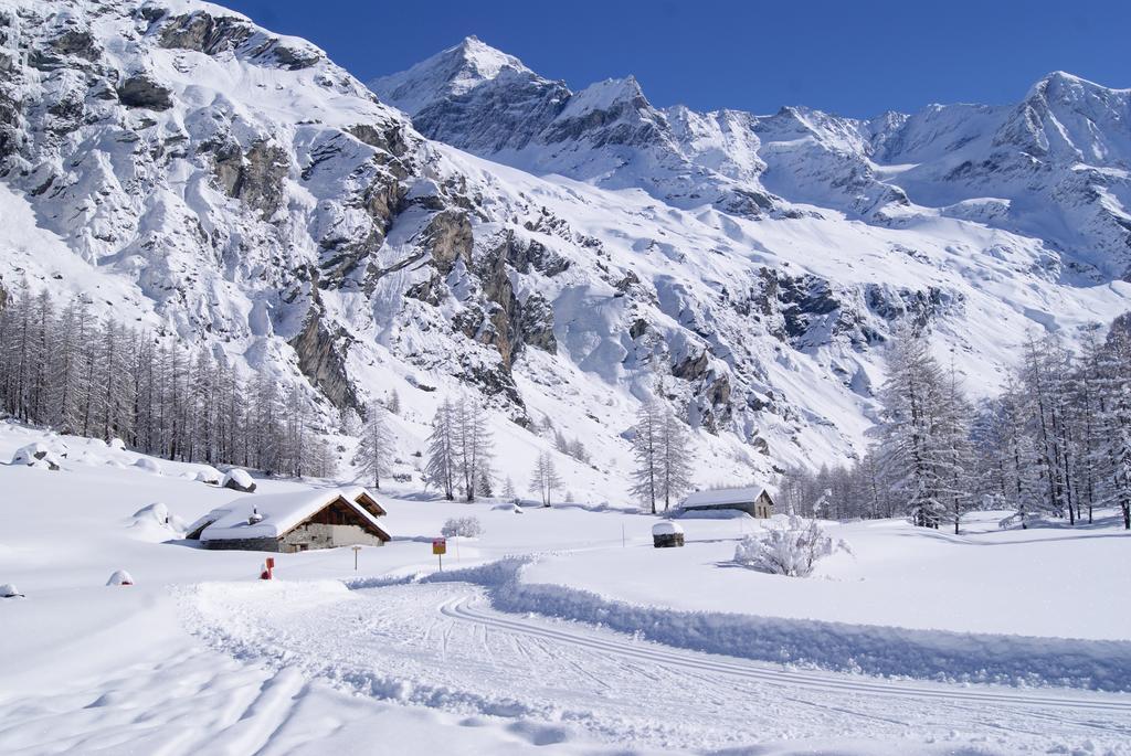 23 Praz De L'Ours Vallandry - Les Arcs 佩塞楠克鲁瓦 外观 照片